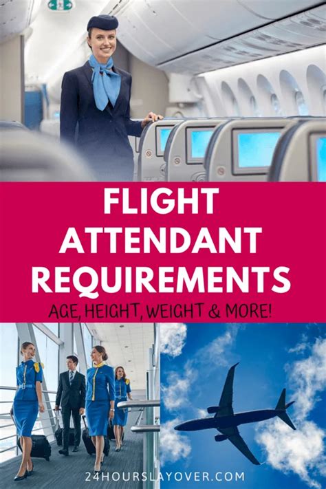 Flight attendant requirements gallery