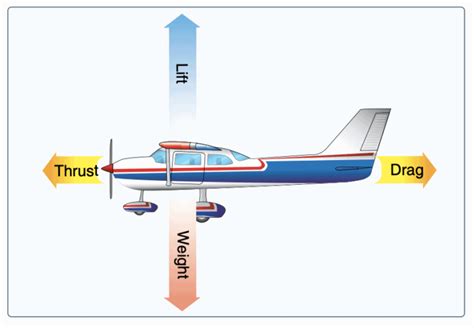 The four forces of flight: lift, weight, thrust, and drag