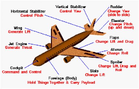 Mechanisms of bird flight