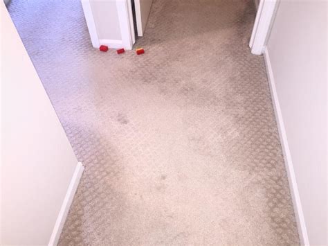 Damage to floors and carpets can be costly to repair