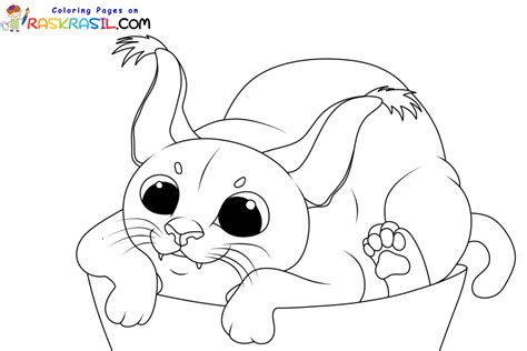 Floppa Cube Coloring Page