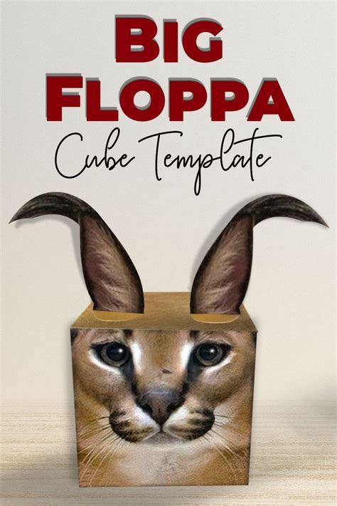 Floppa Cube Pattern Recognition Template