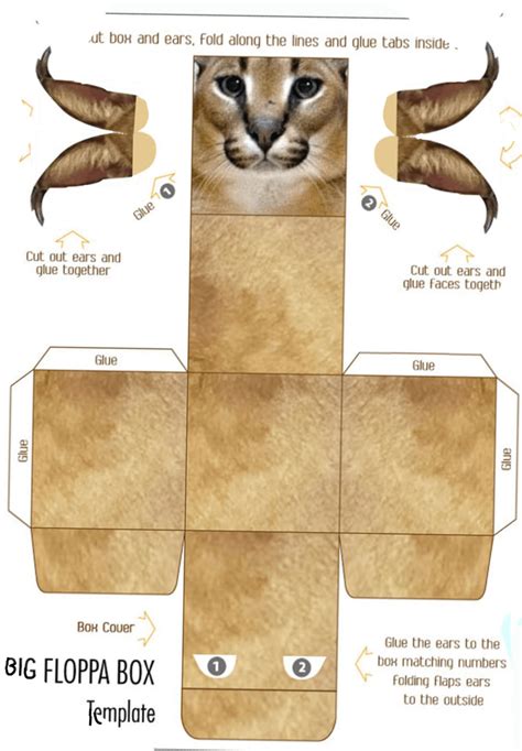 Floppa Cube Shape Sorting Template