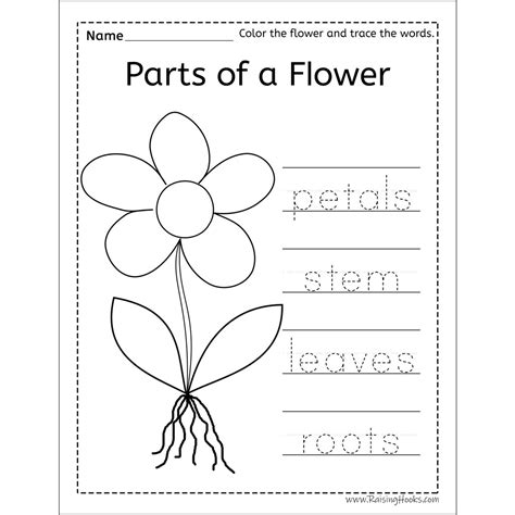 Floral Handwriting Practice Sheets