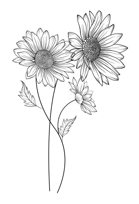 Floral Outlines Example