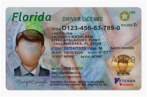 Florida Driver License Template Download