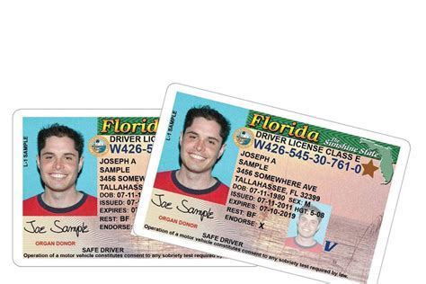 Florida Drivers License Address Update By Mail