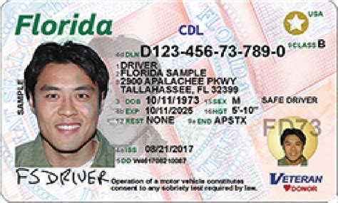 Florida Drivers License Check for CDL Drivers