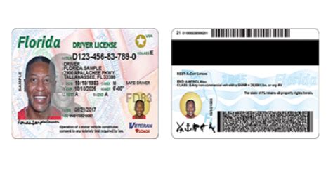 Florida Drivers License Check for Insurance Companies