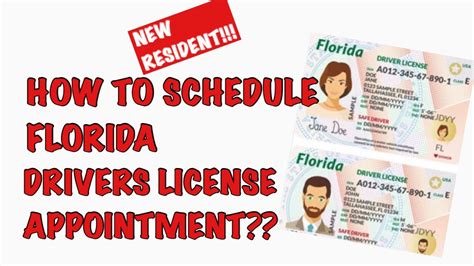 Florida Drivers License Check for New Residents