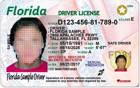 Florida driver's license check image 1