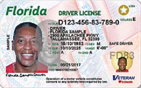 Florida driver's license check image 5