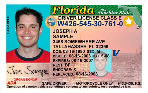 Florida Drivers License Duplicate