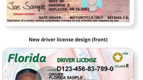 Florida Driver's License Renewal Documents