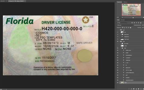 Florida Driver's License Template Blank