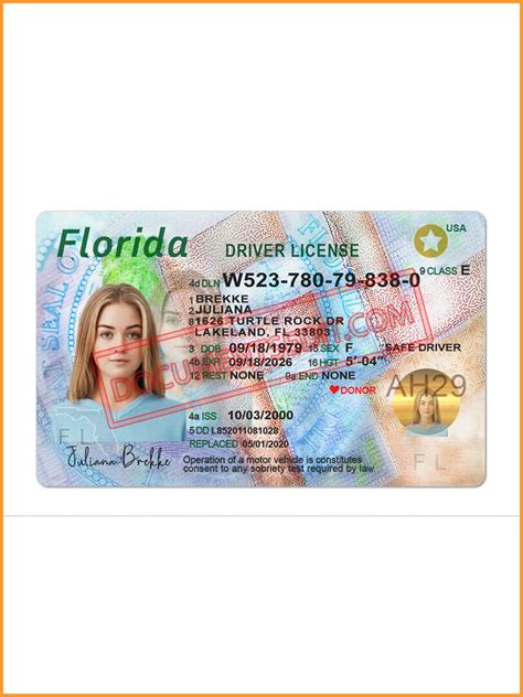 Florida Driver's License Template Sample