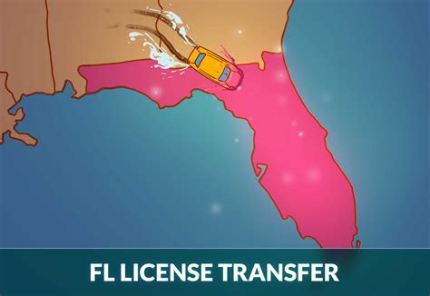 Florida Drivers License Transfer