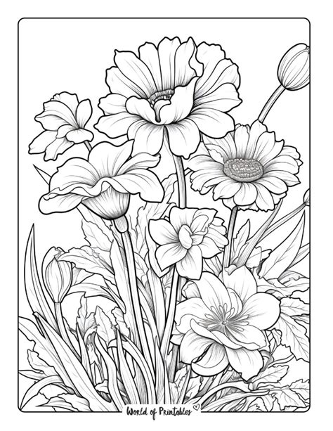 Flower Colouring Pages for Adults