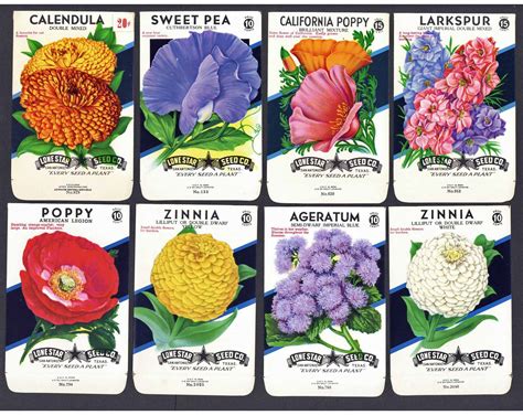 Flower Seed Packets