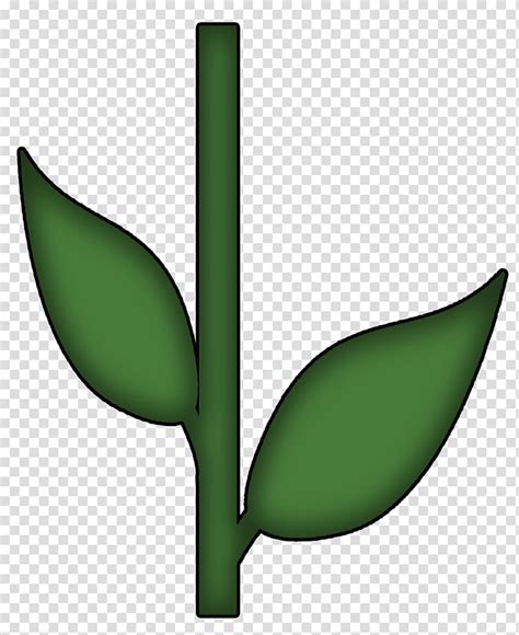 Flower Stem Template Illustrator