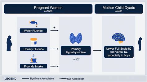 Fluoride in pregnancy