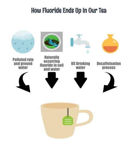 Fluoride in tea