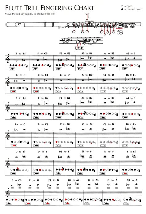 Flute trill charts for beginners