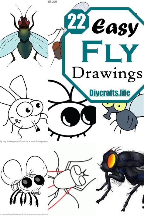 Fly Drawing Ideas