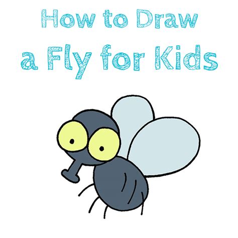 Fly Drawing Tutorials