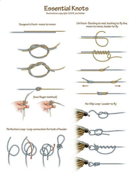 Fly Fishing Knots Basics