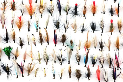 A Woolly Bugger fly tied on a hook