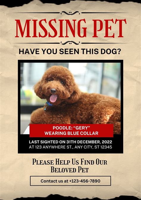 Clear and Concise Font for Lost Pet Poster