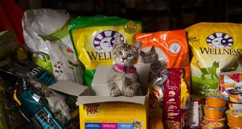 Food Bank Pet Food