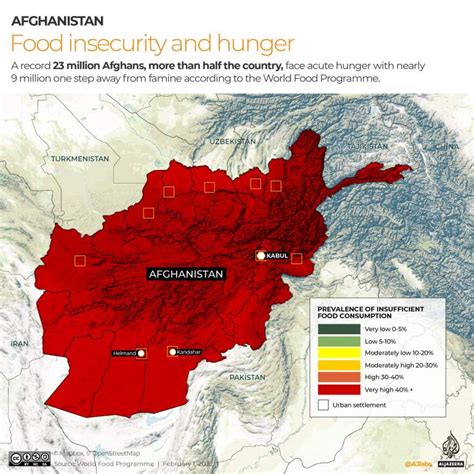 Food Insecurity and Hunger