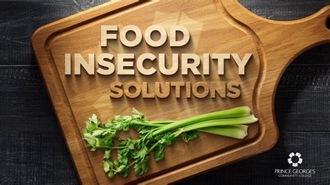 Food Insecurity Solutions