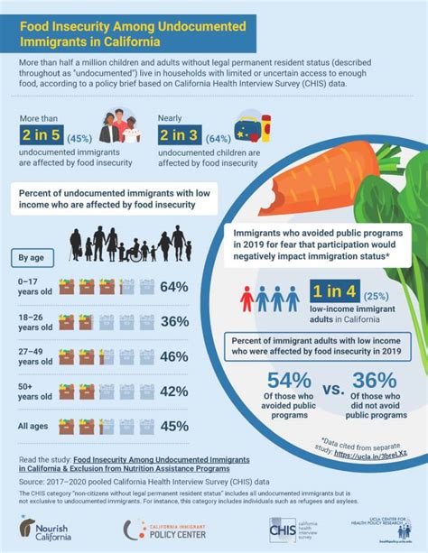 Food insecurity among undocumented immigrants