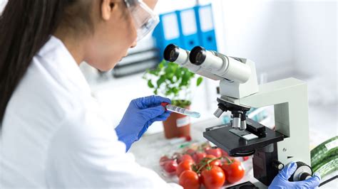 Food scientist testing food samples in lab