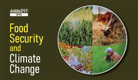 Food Security Initiatives