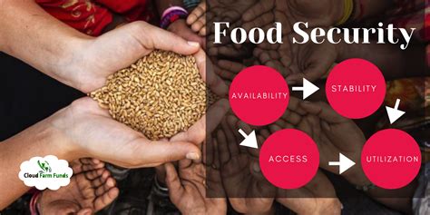 Food security infographic