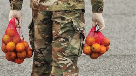 Food Stamp Benefits for Veterans