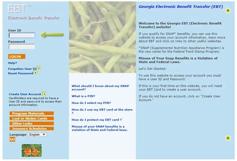 Food Stamp Card Balance Image 10