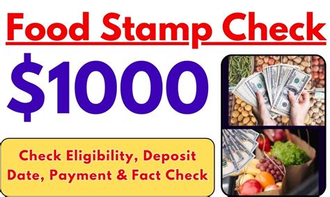 Food Stamp Checks Conclusion