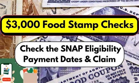 Food Stamp Checks Gallery Image 1