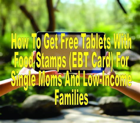 Food Stamp Program Tablet