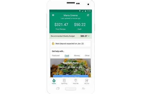 Food Stamps Budgeting App