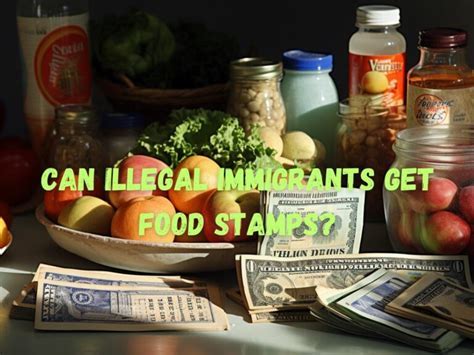 Food Stamps for Undocumented Immigrants Issues