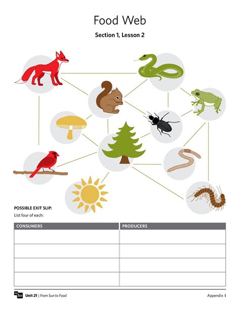 A group of students working on a food web activity