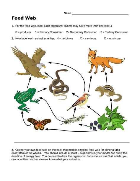 Food web activities for students