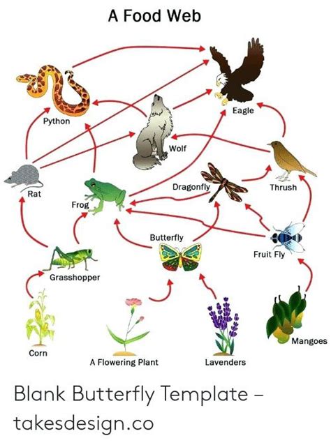 A food web template in PDF format