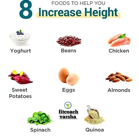 Foods that help increase height